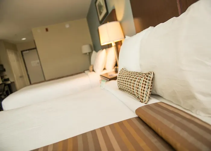 Spark By Hilton Houston Bush Intercontinental Airport